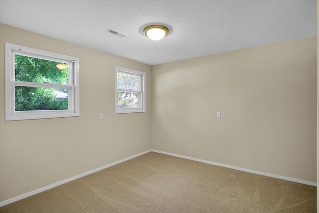 309 E Mchenry St, Urbana, IL 61801 - spare room featuring carpet flooring and a textured ceiling
