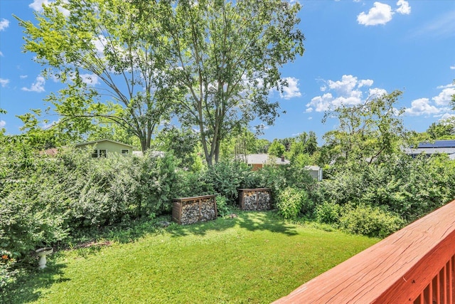 309 E Mchenry St, Urbana, IL 61801 - view of green lawn