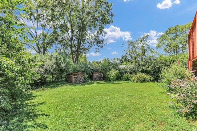 309 E Mchenry St, Urbana, IL 61801 - view of green lawn