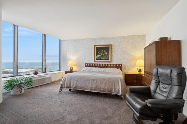 505 N Lake Shore Dr Unit 2206-2207, Chicago, IL 60611 - bedroom featuring carpet flooring, a water view, and an AC wall unit