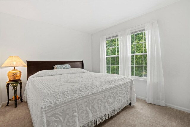 1239 Spring Creek Rd, Elgin, IL 60120 - bedroom with carpet and baseboards