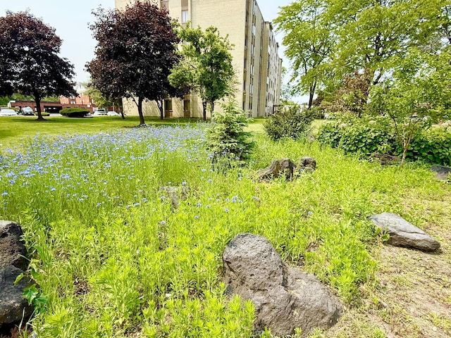 9745 S Karlov Ave Unit 104, Oak Lawn, IL 60453 - photo 32