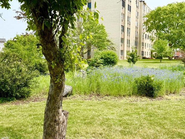 9745 S Karlov Ave Unit 104, Oak Lawn, IL 60453 - photo 33