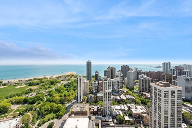 1560 N Sandburg Ter Unit 1605J, Chicago, IL 60610 - view of urban area with a large body of water