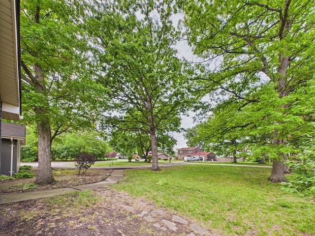 2208 Fiesta Dr, Joliet, IL 60432 - view of grassy yard