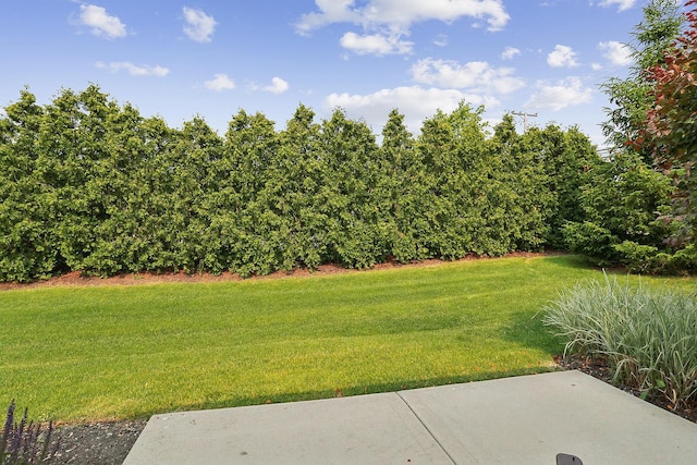1250 Ashbury Pl Unit 1250, Lemont, IL 60439 - view of grassy yard featuring a patio