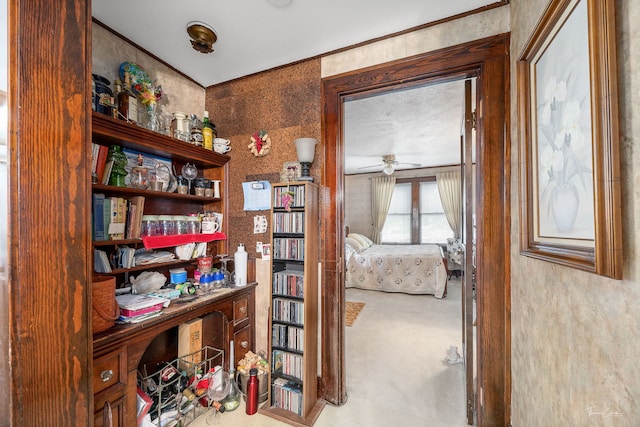 24038 W Oak St, Plainfield, IL 60544 - office area featuring carpet and ceiling fan
