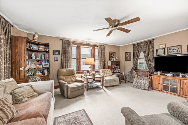 24038 W Oak St, Plainfield, IL 60544 - carpeted living area featuring healthy amount of natural light, a ceiling fan, ornamental molding, and radiator heating unit