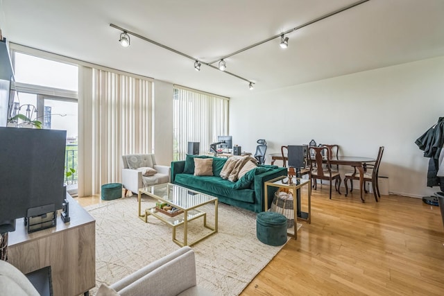 61 W 15th St Unit 407, Chicago, IL 60605 - living room featuring rail lighting and light wood-style floors