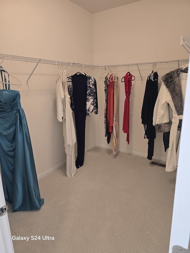 12305 S Prairie Ridge Ln, Plainfield, IL 60585 - walk in closet with carpet flooring