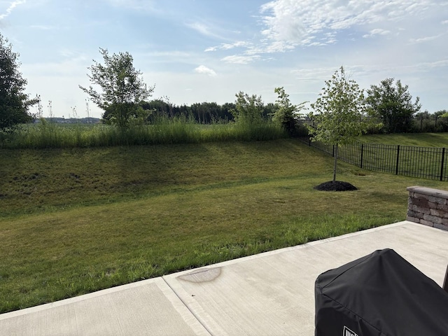 12305 S Prairie Ridge Ln, Plainfield, IL 60585 - view of yard
