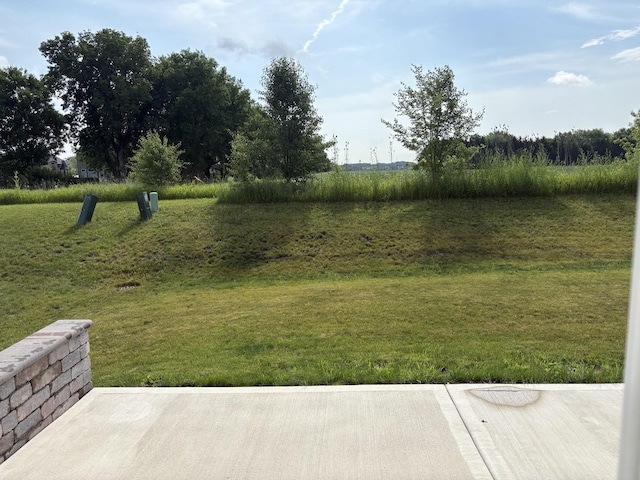12305 S Prairie Ridge Ln, Plainfield, IL 60585 - view of yard