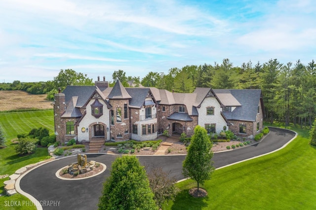 14 Vandenbergh Dr, South Barrington, IL 60010 - view of front of home with stone siding, curved driveway, a chimney, and a front lawn