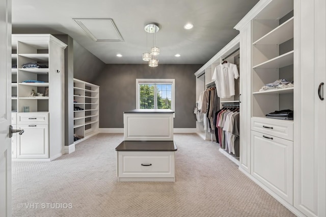 14 Vandenbergh Dr, South Barrington, IL 60010 - spacious closet with light carpet