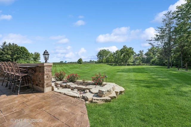 14 Vandenbergh Dr, South Barrington, IL 60010 - view of green lawn with a patio area