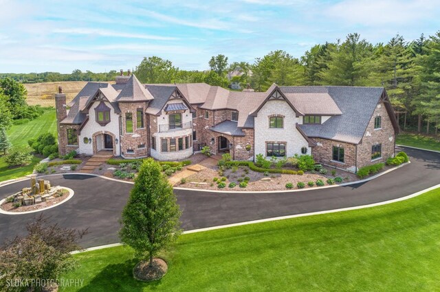 14 Vandenbergh Dr, South Barrington, IL 60010 - view of front of home featuring stone siding, a chimney, curved driveway, and a front lawn