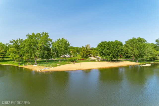 14 Vandenbergh Dr, South Barrington, IL 60010 - water view with a tree filled landscape