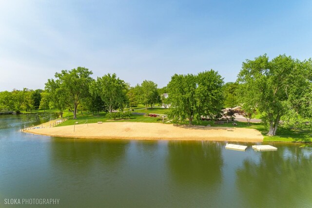 14 Vandenbergh Dr, South Barrington, IL 60010 - water view with a tree filled landscape