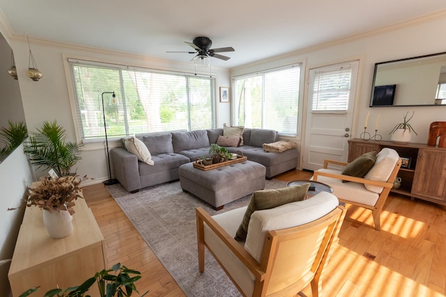 307 Highland Rd, Grayslake, IL 60030 - living area with a ceiling fan, ornamental molding, and light wood-style flooring