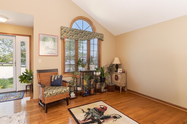 5 Tatiana Ct, Bloomington, IL 61704 - sitting room with light wood-type flooring and high vaulted ceiling
