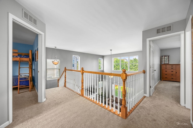 13825 Trillium Ln, Plainfield, IL 60544 - hall with carpet floors, an upstairs landing, and baseboards
