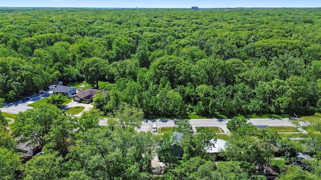176 Monee Rd, Park Forest, IL 60466 - aerial overview of property's location with a heavily wooded area