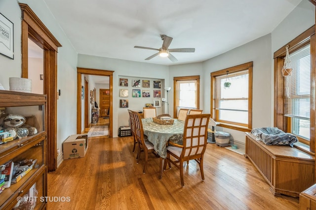 1046 S Scoville Ave, Oak Park, IL 60304 - photo 6