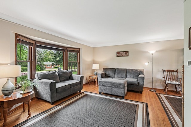 36746 N Eastmoor Ave, Lake Villa, IL 60046 - living area featuring wood finished floors and ornamental molding