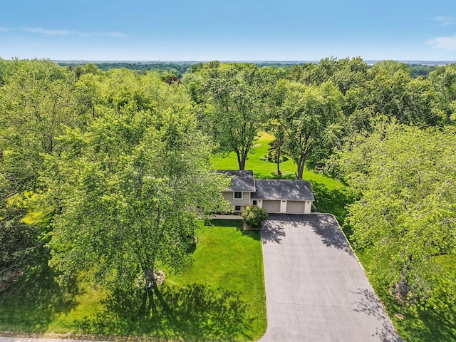 36746 N Eastmoor Ave, Lake Villa, IL 60046 - view from above of property with a heavily wooded area