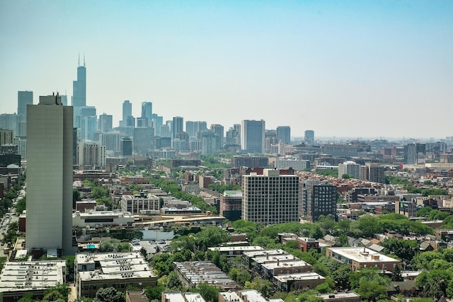 1850 N Clark St Unit 2106, Chicago, IL 60614 - view of city skyline