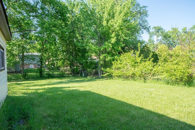 34 E 159th St, South Holland, IL 60473 - view of green lawn