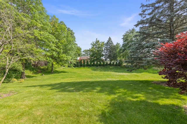 1527 62nd St, Downers Grove, IL 60516 - view of green lawn
