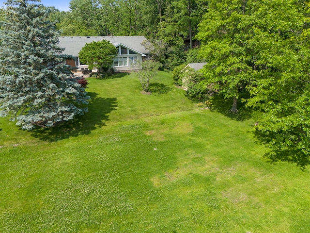 1527 62nd St, Downers Grove, IL 60516 - view of green lawn