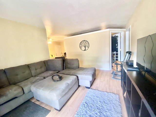 322 N Carter St Unit 102, Palatine, IL 60067 - living area with light wood-type flooring and a ceiling fan