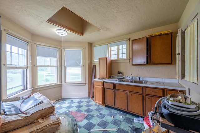 4 E Lincoln St, Mount Morris, IL 61054 - kitchen with a sink, light floors, brown cabinetry, light countertops, and a textured ceiling