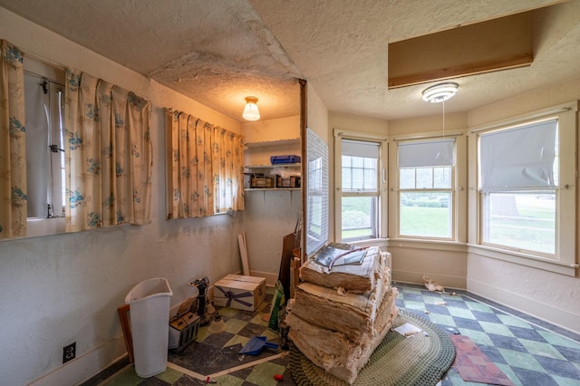 4 E Lincoln St, Mount Morris, IL 61054 - dining room with tile patterned floors, baseboards, a textured ceiling, and attic access