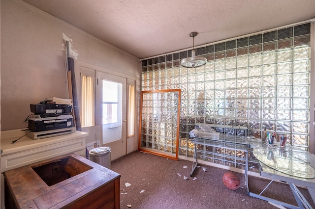 4 E Lincoln St, Mount Morris, IL 61054 - dining room with a textured ceiling and carpet