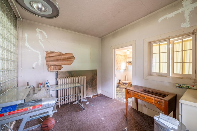 4 E Lincoln St, Mount Morris, IL 61054 - carpeted bedroom with ornamental molding, radiator, and a textured ceiling