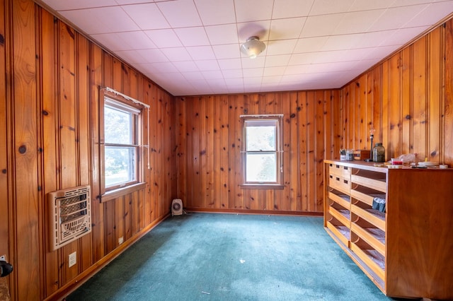 4 E Lincoln St, Mount Morris, IL 61054 - unfurnished bedroom featuring multiple windows, heating unit, carpet floors, wooden walls, and baseboards