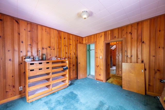 4 E Lincoln St, Mount Morris, IL 61054 - carpeted bedroom with wooden walls