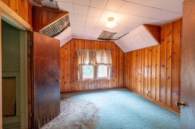 4 E Lincoln St, Mount Morris, IL 61054 - additional living space with carpet flooring, wooden walls, and vaulted ceiling