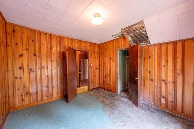 4 E Lincoln St, Mount Morris, IL 61054 - unfurnished room featuring wooden walls, carpet flooring, and baseboards