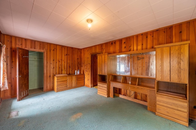 4 E Lincoln St, Mount Morris, IL 61054 - unfurnished bedroom featuring wooden walls and carpet
