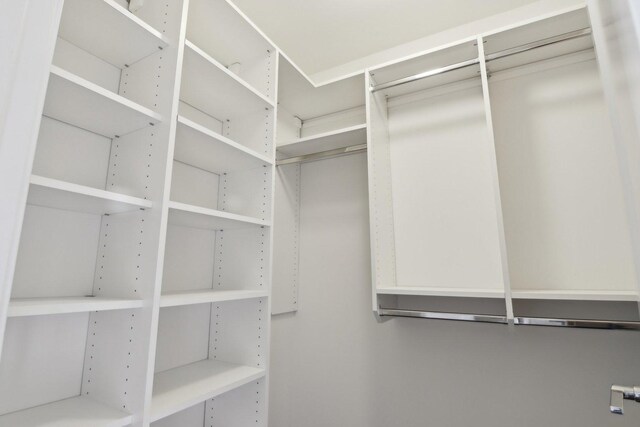 4637 S Michigan Ave, Chicago, IL 60653 - view of spacious closet