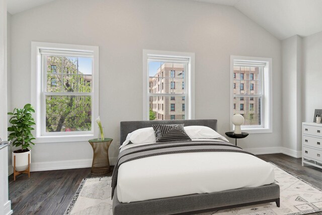 4637 S Michigan Ave, Chicago, IL 60653 - bedroom with vaulted ceiling, dark wood-type flooring, and baseboards