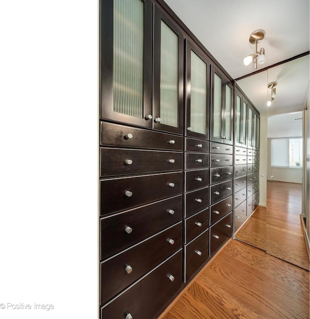1 E Schiller St Unit 8B, Chicago, IL 60610 - view of closet