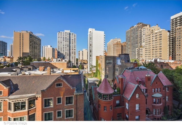 1 E Schiller St Unit 8B, Chicago, IL 60610 - view of city skyline