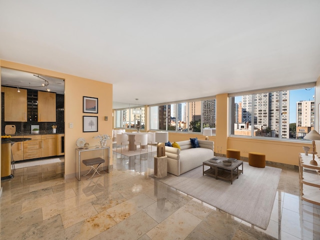 1 E Schiller St Unit 8B, Chicago, IL 60610 - living room with a city view and baseboards