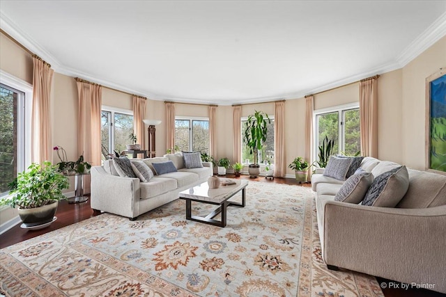11 Moate Ln, Barrington Hills, IL 60010 - living area with wood finished floors and ornamental molding