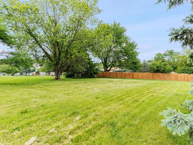 3411 Caton Farm Rd, Joliet, IL 60431 - view of yard